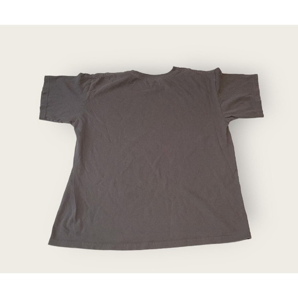 Jurassic World T Shirt Medium Charcoal Gray T-Rex Dinosaur Jurassic Park - Picture 2 of 5